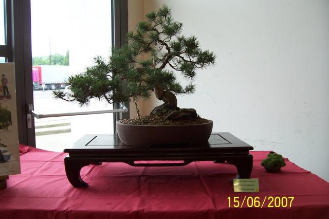 Image: 100_6908-420a7e.jpg
