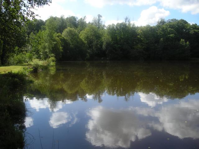 Pêche en haute vienne, la bénéchie ( cussac, chalut) Photo-346-121f4b7
