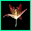 http://img25.xooimage.com/files/1/a/0/rondeau-bd1d03.gif