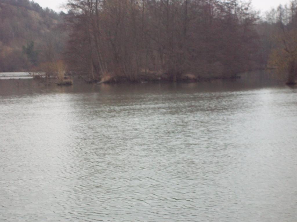 petite sortie pêche au silure A-bb31ad