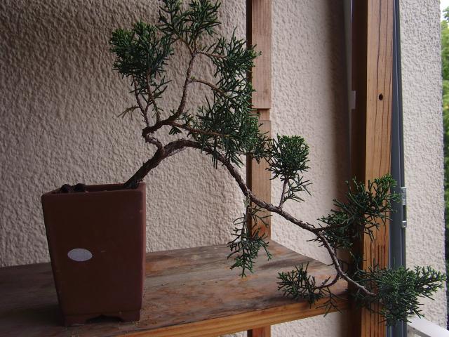 Image: sa550483-4c5e0c.jpg