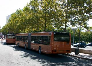 Numérotation et immatriculation des bus - Page 2 100_0172-1369848