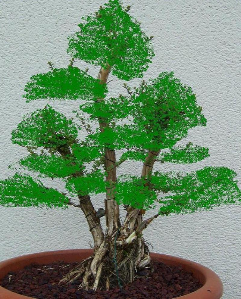 Image: futur-3184bd.jpg
