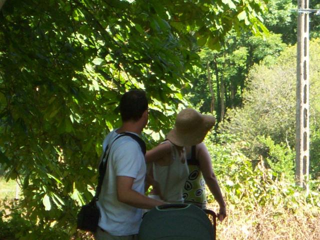 Image: 100_1340-4b0ee7.jpg