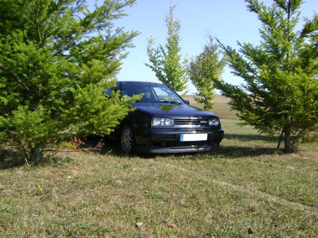 http://img25.xooimage.com/files/5/d/f/dsc00533-1376957.jpg