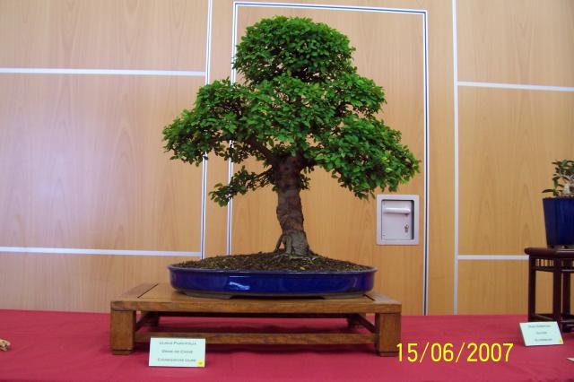 Image: 100_6834-4203d2.jpg