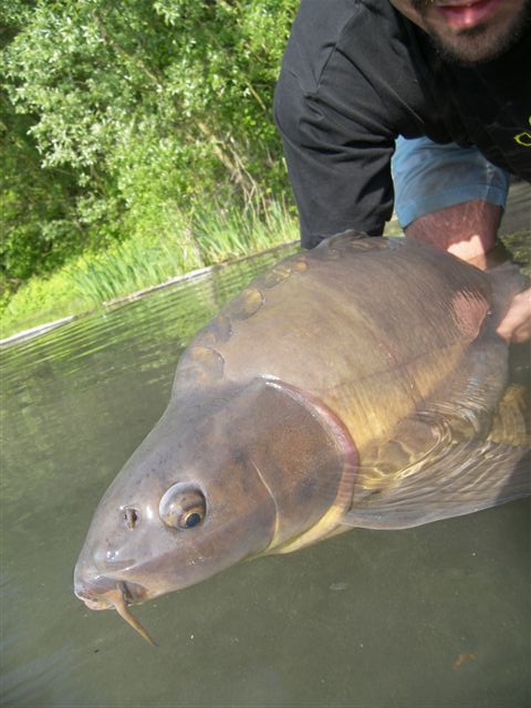 Image: 102_2360-343d69.jpg
