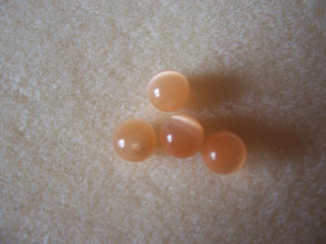 Image: 100_2072-340341.jpg