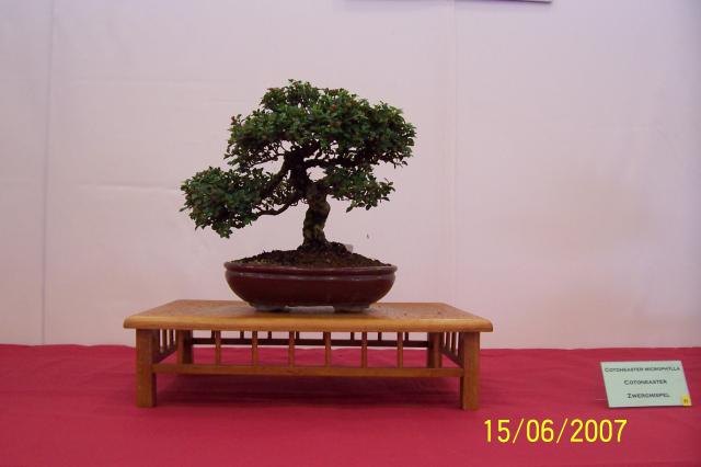 Image: 100_6872-420789.jpg