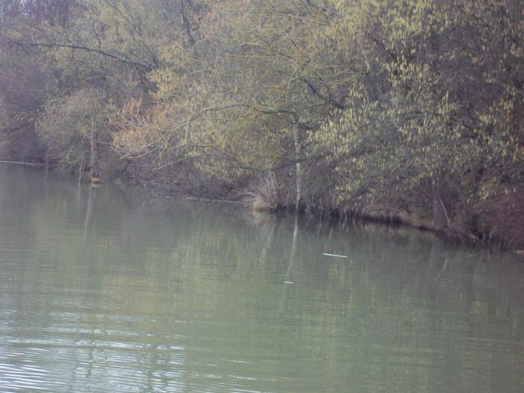 petite sortie pêche au silure H-bb328f