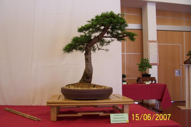 Image: 100_6876-4207e1.jpg