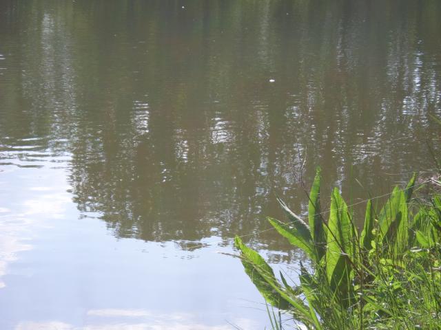 Image: sl370206-343506.jpg