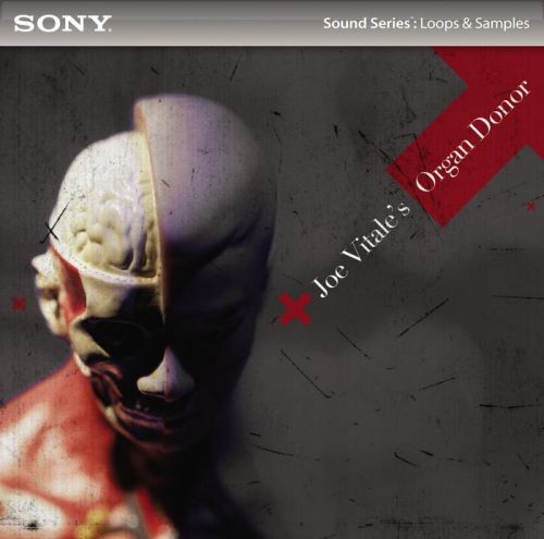 Sony Media Software - Joe Vitale Organ Donor ACID WAV
