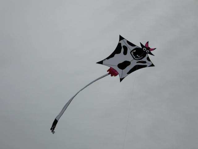 Image: img_1036-4b1a02.jpg