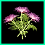 http://img25.xooimage.com/files/c/d/a/terza-bd1d40.gif