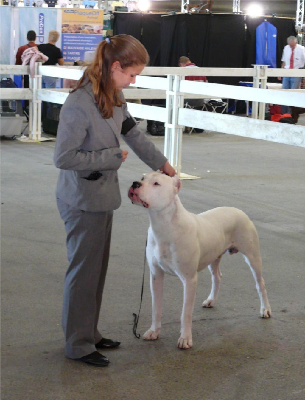 Image: vargas10-337efe.jpg