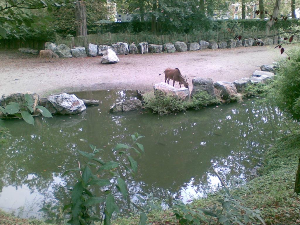Image: 23092007-016--32612f.jpg
