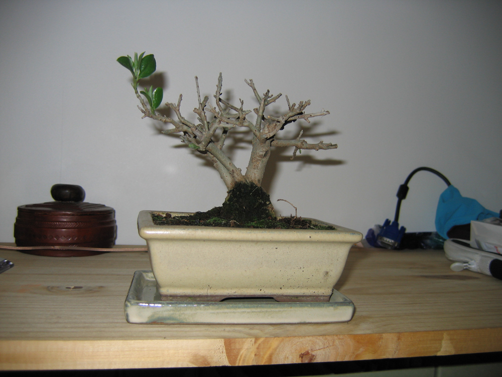 Image: photo-014-404dae.jpg