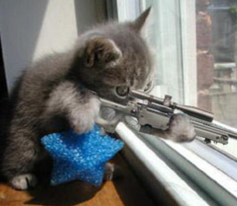 Cat Rifle