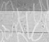 Pas de nouveaux messages Pas de nouveaux messages