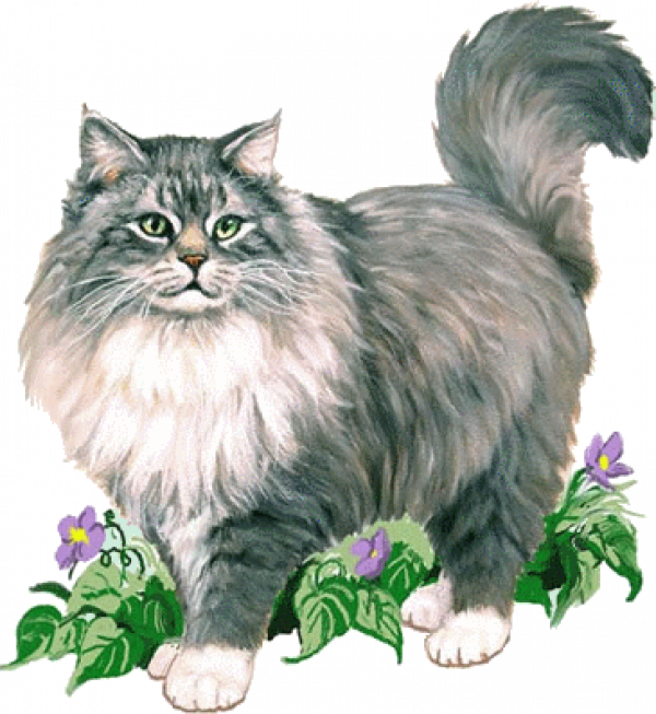 http://img25.xooimage.com/files/7/f/a/vbqvhu4g-1ad90fd.png